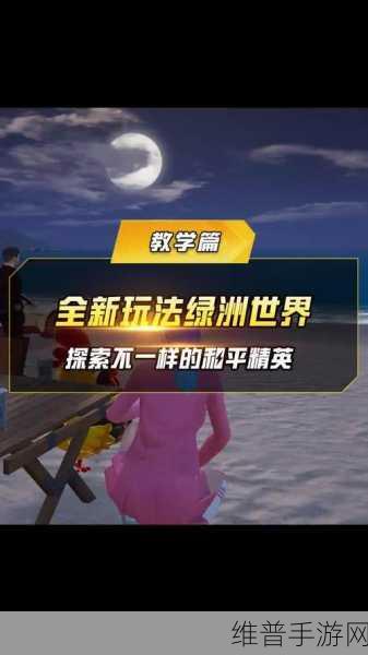 和平精英手游攻略,揭秘绿洲世界的进入方法与深度探索