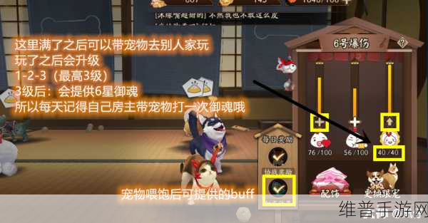 阴阳师手游宠物后院全攻略,玩转小动物世界,获取宠物秘籍