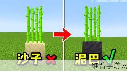 我的世界泥巴作用全面解析