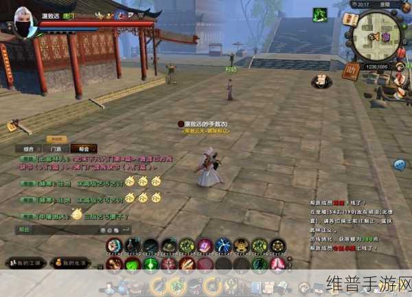 九阴真经手游，伴侣携手江湖全攻略