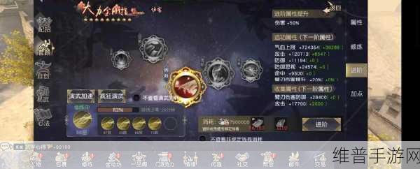 九阴真经手游，伴侣携手江湖全攻略