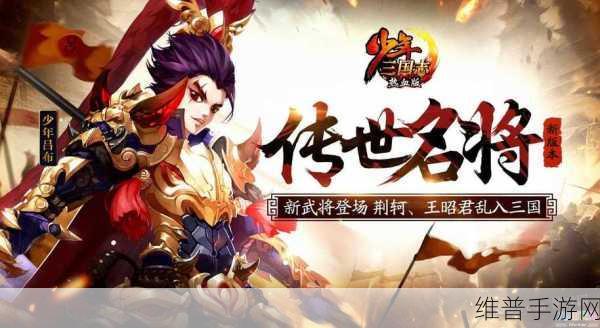 少年三国志叛军任务深度攻略，策略与实战并重