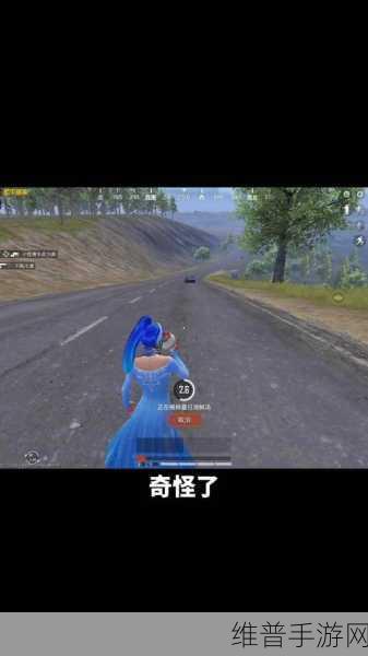 和平精英空投节电音派对全攻略，解锁炫酷玩法，掌握派对节奏秘籍