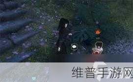 花与剑手游全新奇遇挑战，难缠的客完成攻略，揭秘最新任务隐藏鲜为人知的技巧