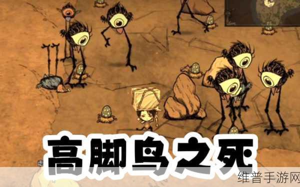 饥荒手游攻略，全面解析小高脚鸟的属性与应对策略