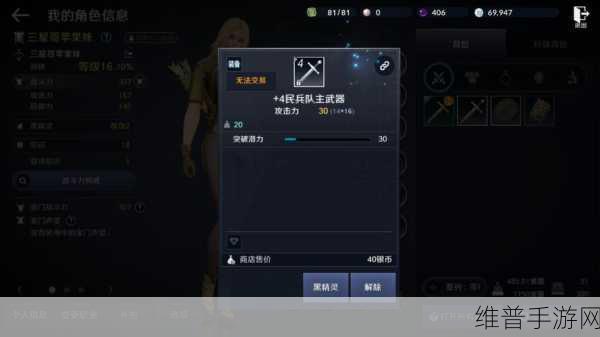 黑色沙漠手游，深度解析技能与装备搭配策略