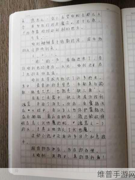 哈利波特手游深度攻略,高中生的魔法之旅读后感