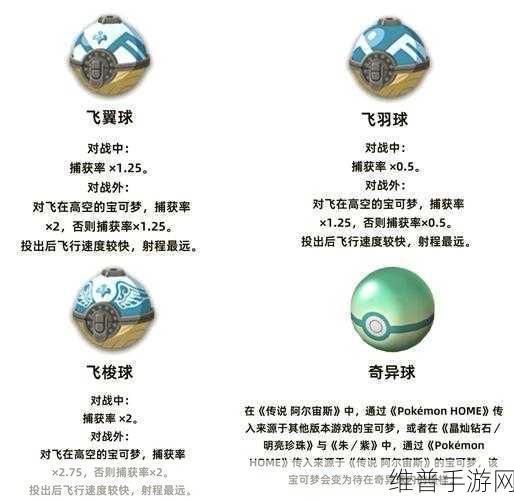 精灵宝可梦TCG，深入探索宝可梦大师XY典藏箱的奥秘