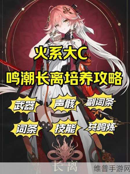 鸣潮忌炎全方位培养指南,解锁火属性战士的极致潜能