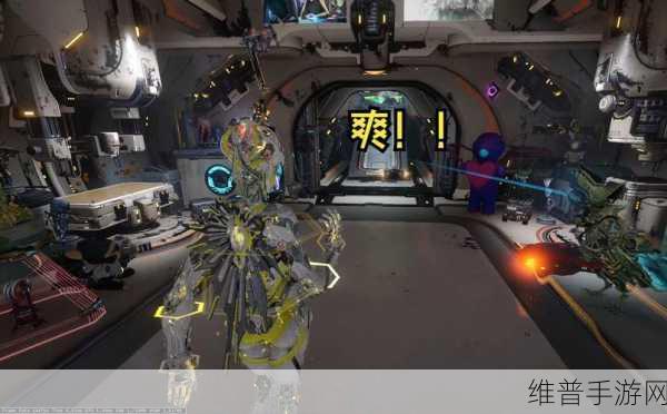 Warframe 钱鞭 Mod 与配卡玩法全解析