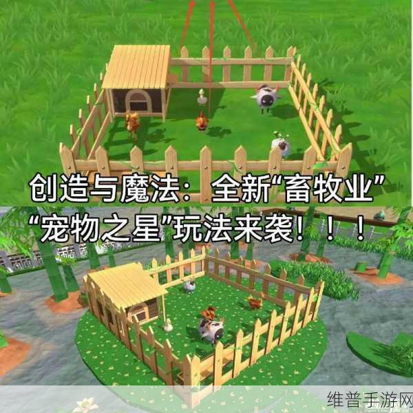 创造与魔法，深度解析坐骑宠物喂养全攻略