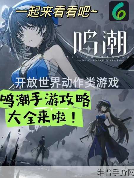 鸣潮手游公测开服全攻略,探索开放世界的无限可能