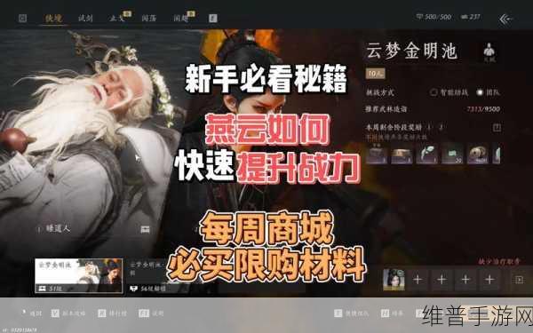 燕云十六声手游攻略，深度解析渠道服与官服的区别
