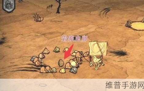 饥荒手游深度攻略,揭秘熔岩幼虫的成长之谜