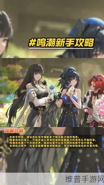 鸣潮，你才是挑战者成就完全指南