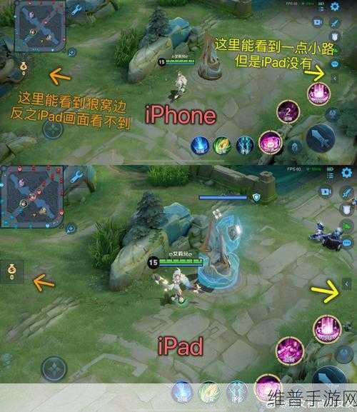 王者荣耀深度攻略，相机高度近景与标准区别的全面解析
