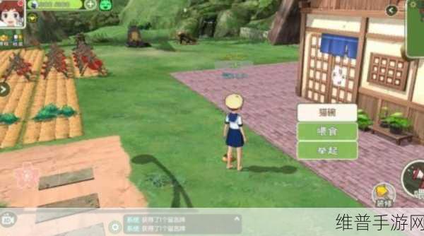 小森生活游戏指南，深度解析如何领养猫咪及具体领养方法