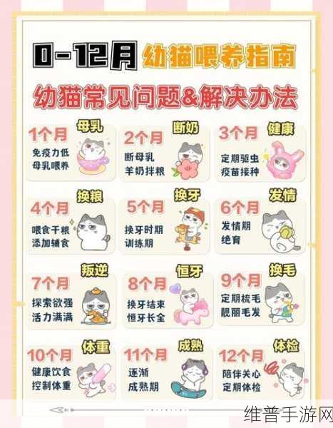 小森生活游戏指南,深度解析如何领养猫咪及具体领养方法