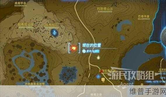 塞尔达传说王国之泪伯库林的烦恼任务详解攻略