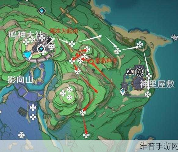 原神绯樱绣球高效采集路线推荐及2024绯樱绣球分布图全览