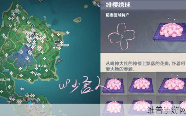 原神绯樱绣球高效采集路线推荐及2024绯樱绣球分布图全览