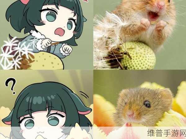绝区零小小大失控委托任务全解析