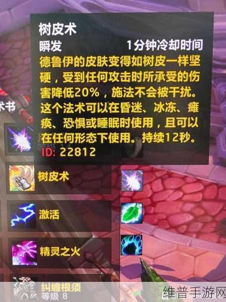 魔兽世界怀旧服深度攻略，熊T仇恨拉取技巧全解析