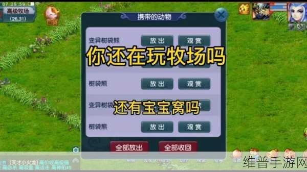 梦幻西游牧场新手全面攻略，从零开始的牧场经营之旅