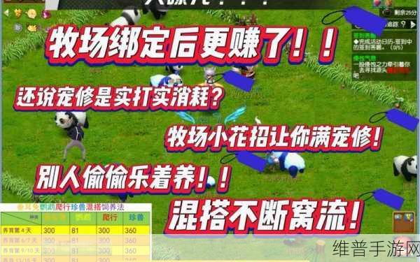 梦幻西游牧场新手全面攻略,从零开始的牧场经营之旅