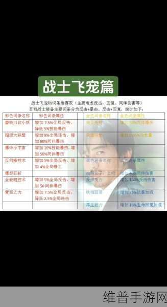 大探险家出装秘籍，制霸战场的绝佳选择