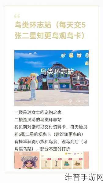 心动小镇家园评定提交秘籍