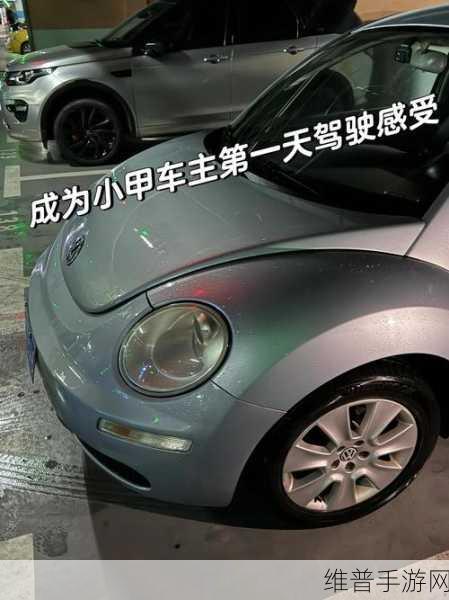 手游攻略,探索大众甲壳虫与MINI的驱动秘密,解锁赛车新玩法