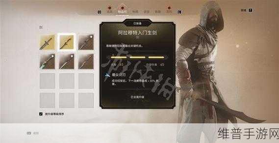 刺客信条幻景圆顶之乐深度解谜攻略,探索与收集的奇妙之旅
