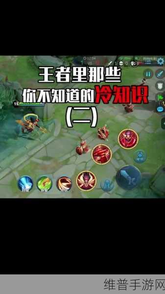 掌握细节上王者！王者荣耀你不知道的冷知识全面盘点