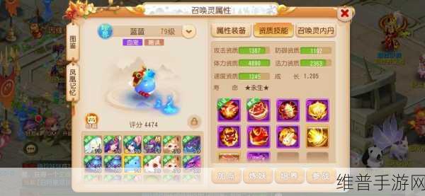 梦幻西游手游深度探索,揭秘属性分页中的隐藏属性与奥秘