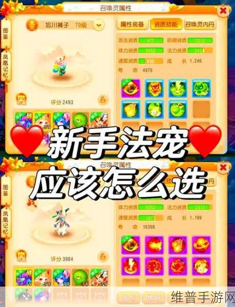 梦幻西游手游 69 宠物深度解析与养成秘籍