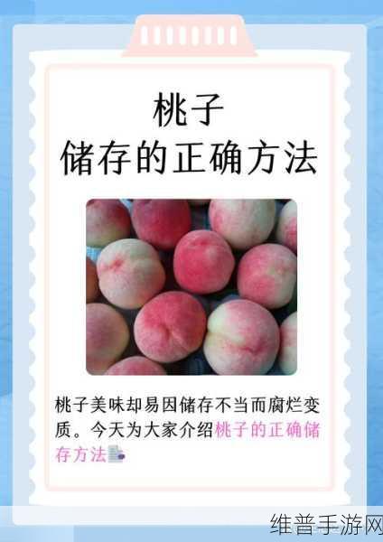 神仙道摘桃子攻略，全面掌握摘取仙桃的技巧与策略