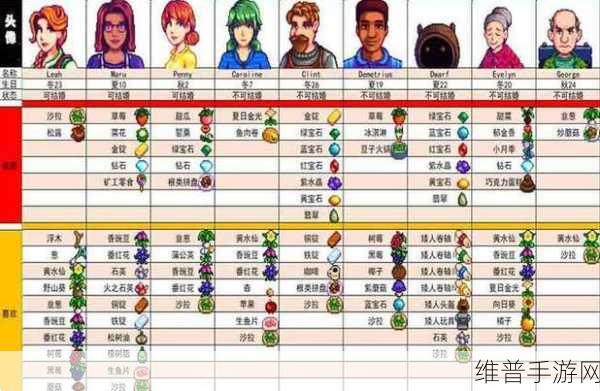 星露谷物语深度攻略，揭秘山姆喜好与结婚全攻略