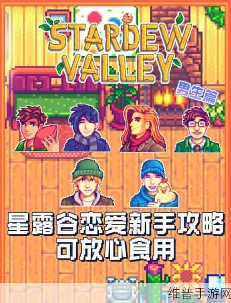 星露谷物语深度攻略,揭秘山姆喜好与结婚全攻略