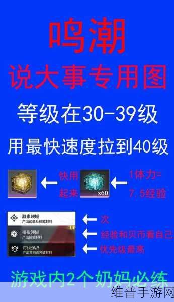鸣潮莲实高效刷取指南