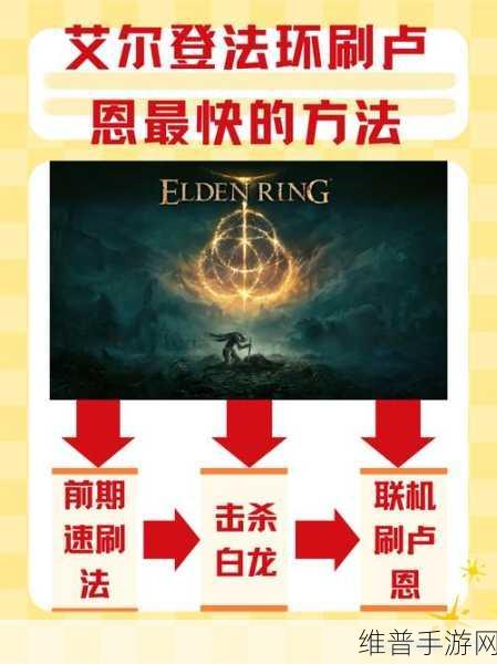 艾尔登法环深度攻略,揭秘大卢恩的奥秘与种类