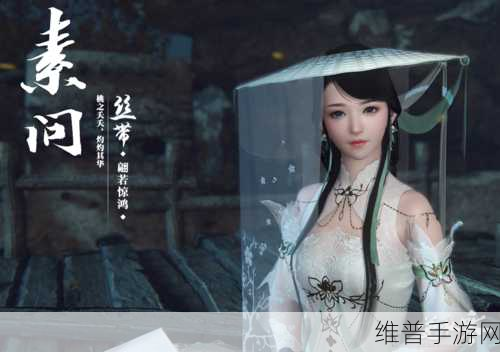 下一站江湖 2法华村密藏解密全攻略