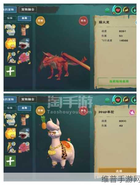 创造与魔法飞龙王鸟饲料探秘，精确数量与养成攻略