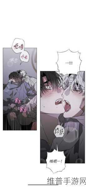 帕尼亚战纪精灵花园的神秘入口全解析
