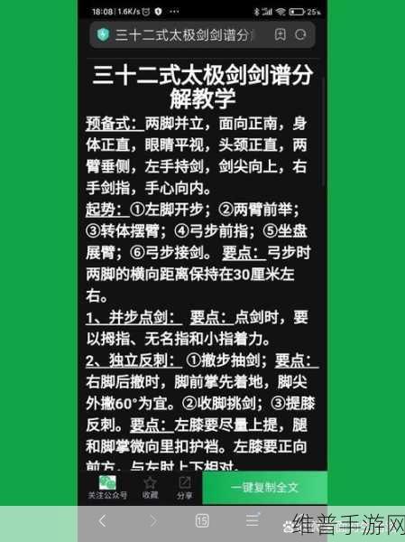 武侠 X 双剑技能全解析,招式效果与实战运用