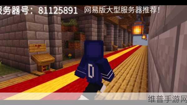 我的世界生存服务器新手全攻略,从零开始的冒险之旅