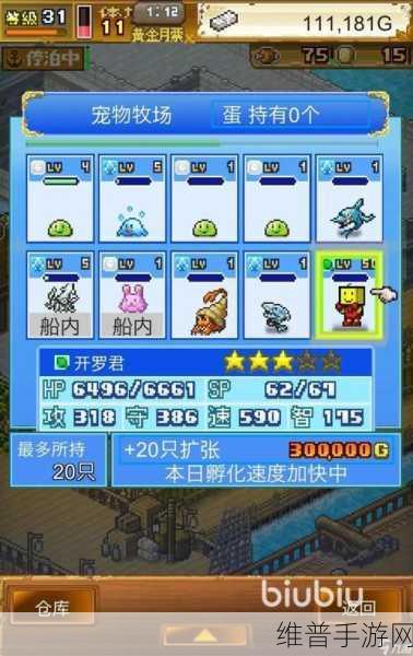 大航海探险物语职业详解，探索无尽海域的多样角色