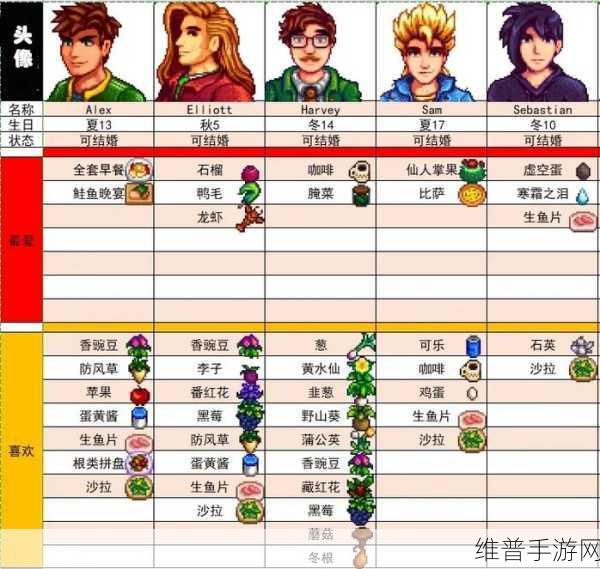 星露谷物语深度探索，NPC独特喜好全揭秘，打造完美社交体验
