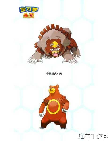 口袋妖怪重制版深度探索，圈圈熊全面解析
