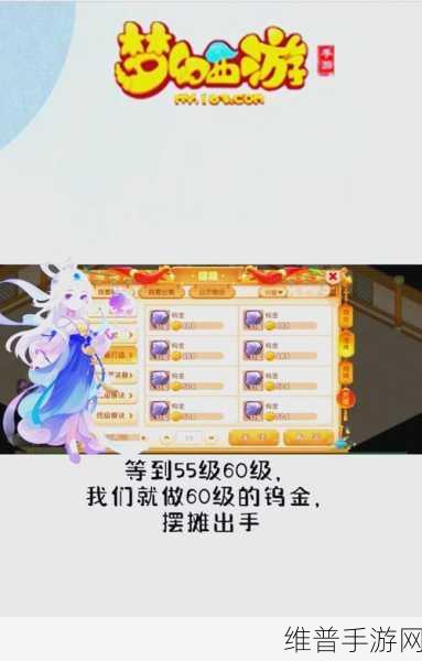梦幻西游手游冲新服的全方位指南